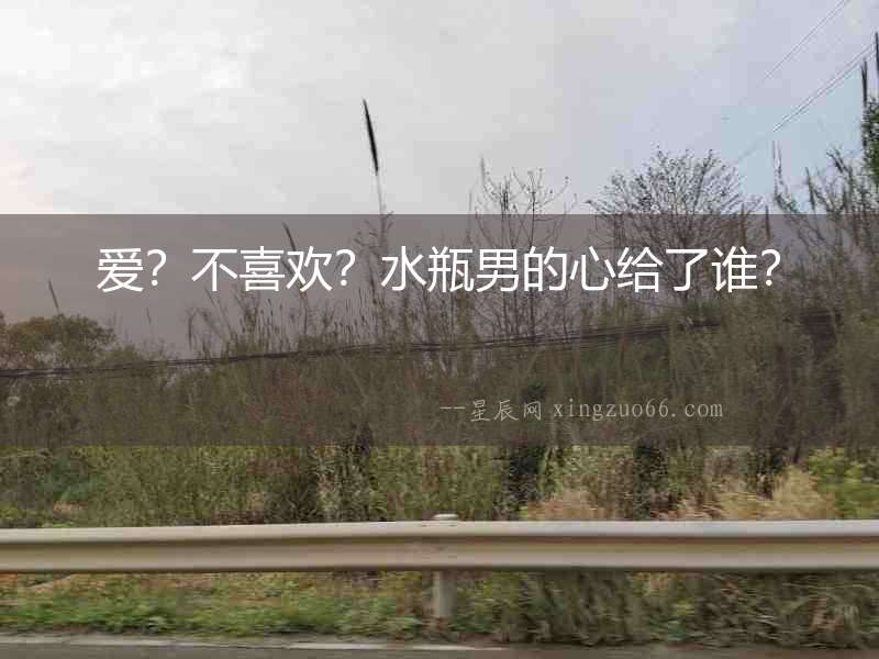 愛？不喜歡？水瓶男的心給了誰？