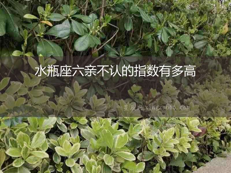 水瓶座六親不認的指數有多高