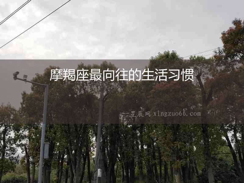 摩羯座最向往的生活習慣