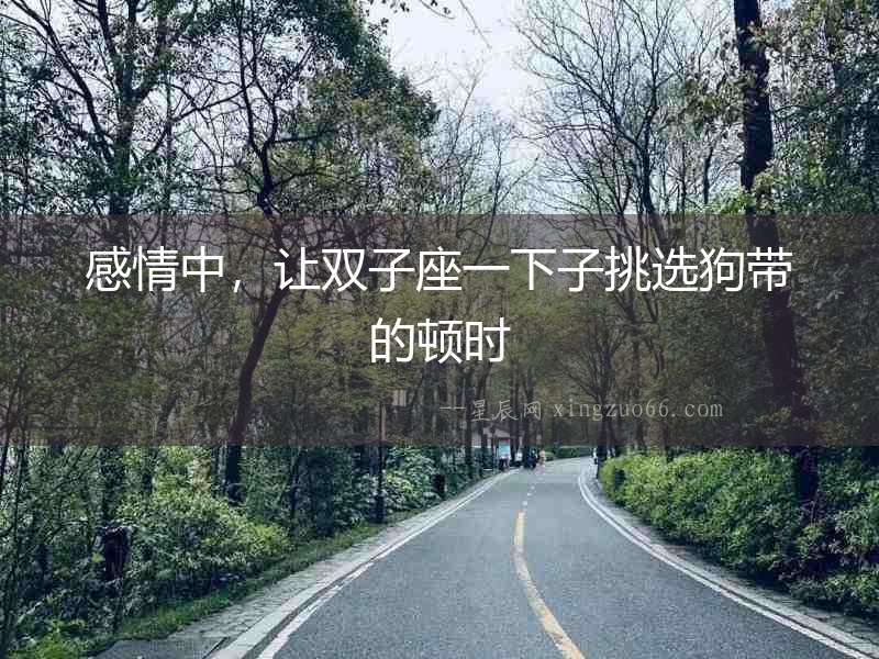 感情中，讓雙子座一下子挑選狗帶的頓時