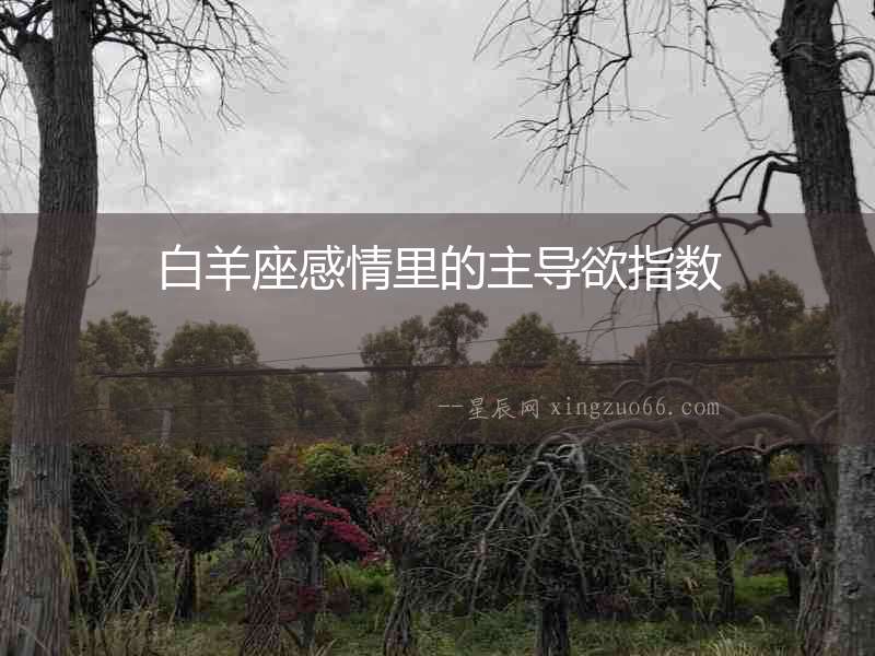 白羊座感情里的主導欲指數