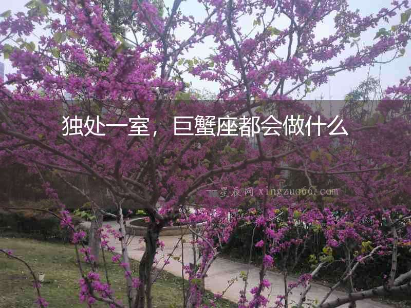 獨處一室，巨蟹座都會做什么