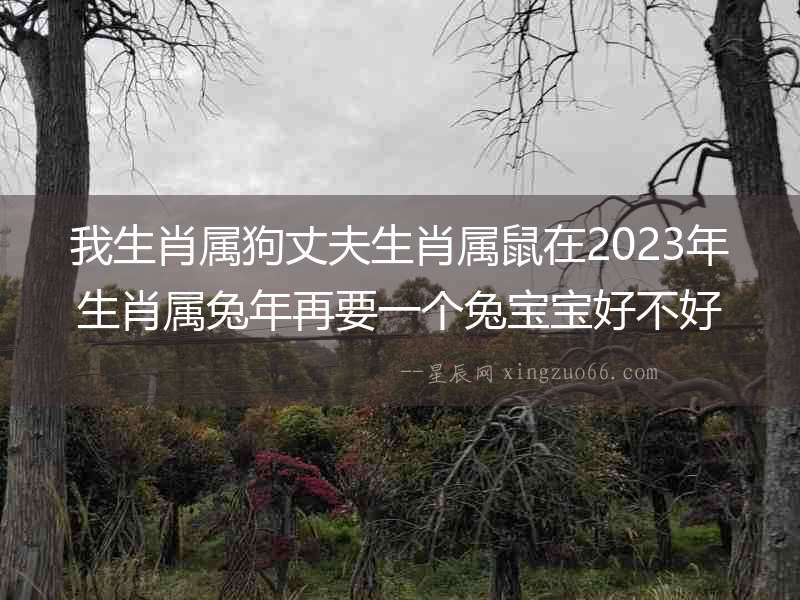 我生肖屬狗丈夫生肖屬鼠在2023年生肖屬兔年再要一個兔寶寶好不好？
