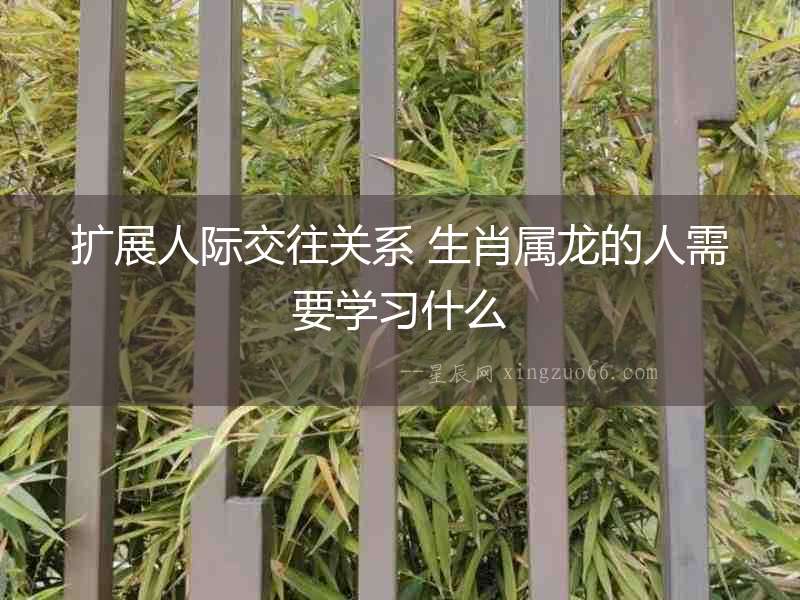 擴(kuò)展人際交往關(guān)系 生肖屬龍的人需要學(xué)習(xí)什么