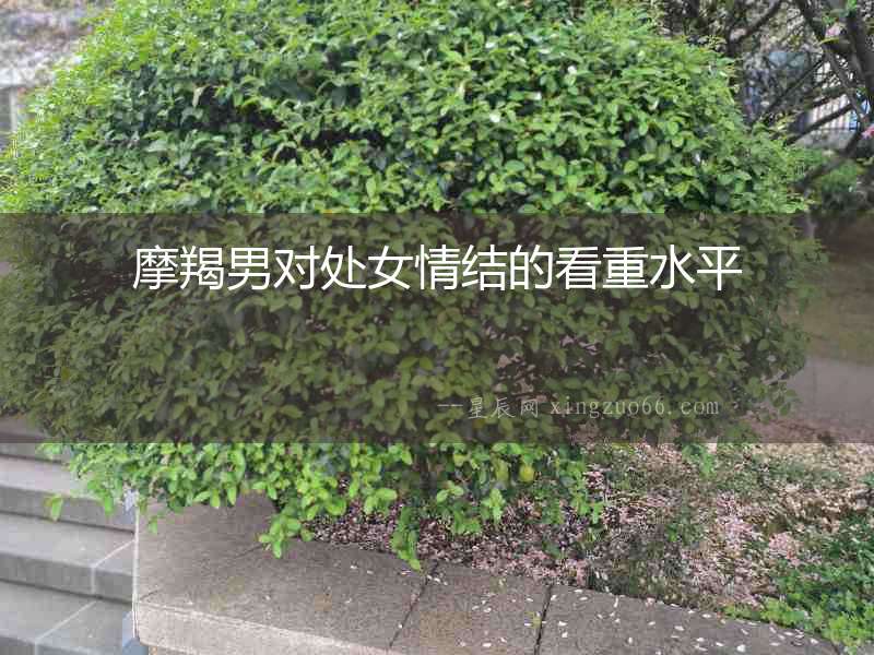 摩羯男對處女情結(jié)的看重水平