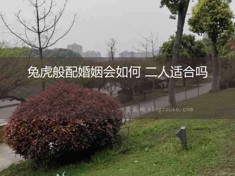 兔虎般配婚姻會如何 二人適合嗎