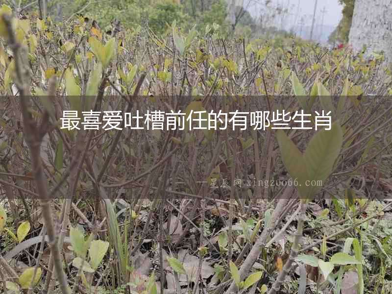 最喜愛吐槽前任的有哪些生肖