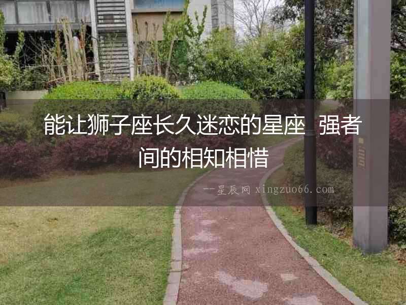 能讓獅子座長久迷戀的星座  強者間的相知相惜