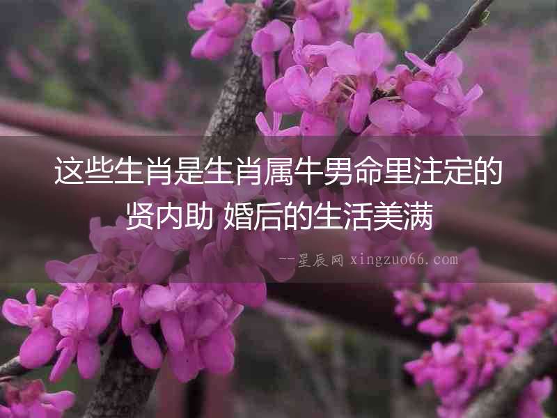 這些生肖是生肖屬牛男命里注定的賢內助 婚后的生活美滿