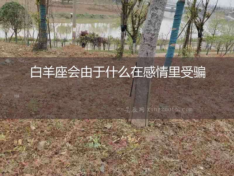 白羊座會(huì)由于什么在感情里受騙