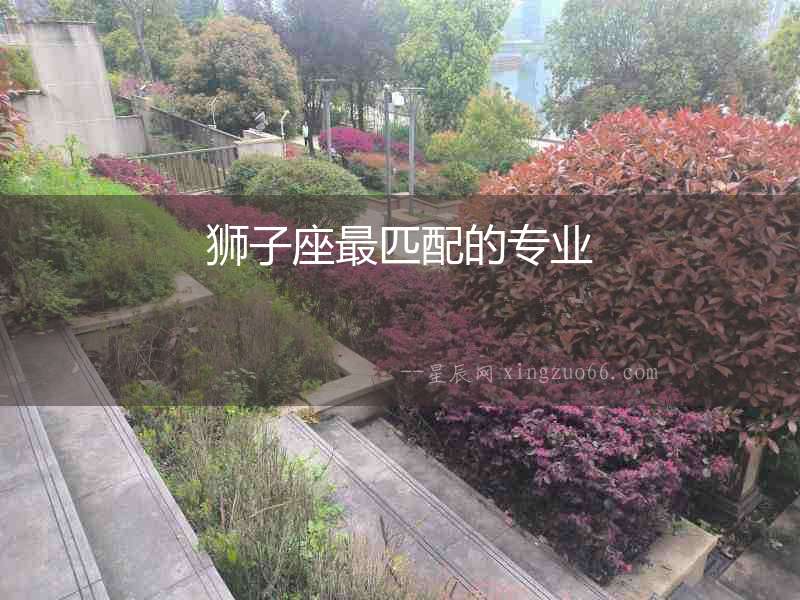 獅子座最匹配的專(zhuān)業(yè)