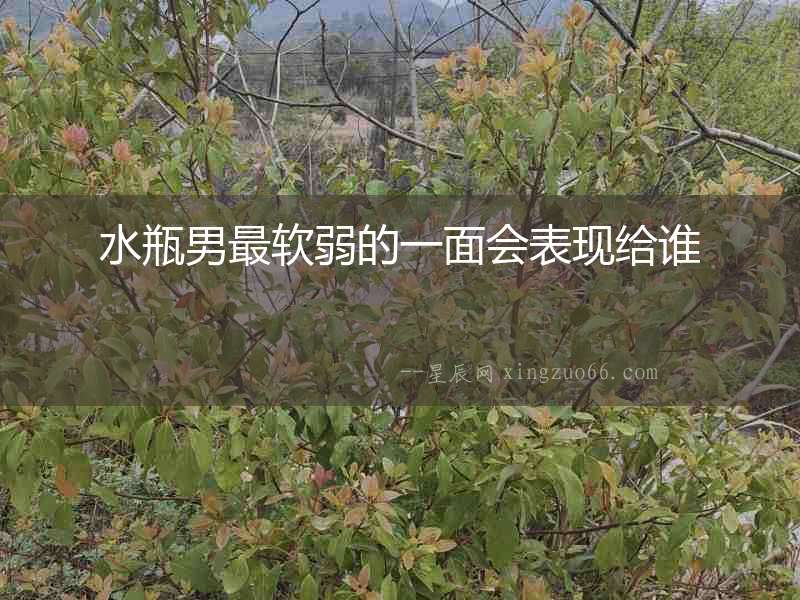 水瓶男最軟弱的一面會表現給誰