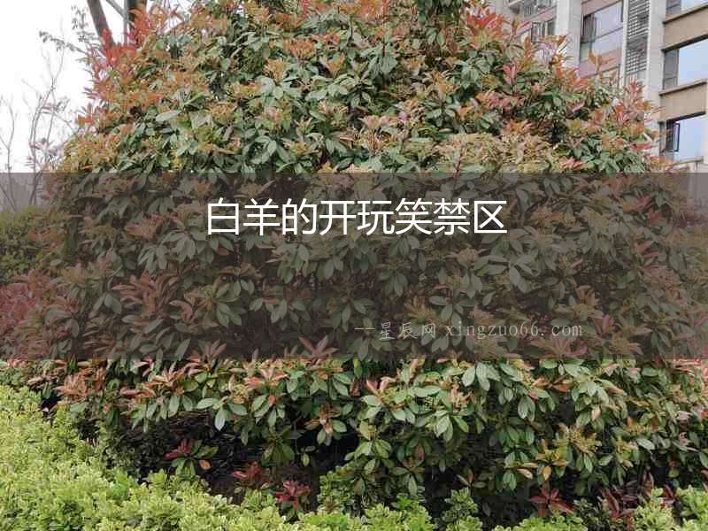 白羊的開玩笑禁區