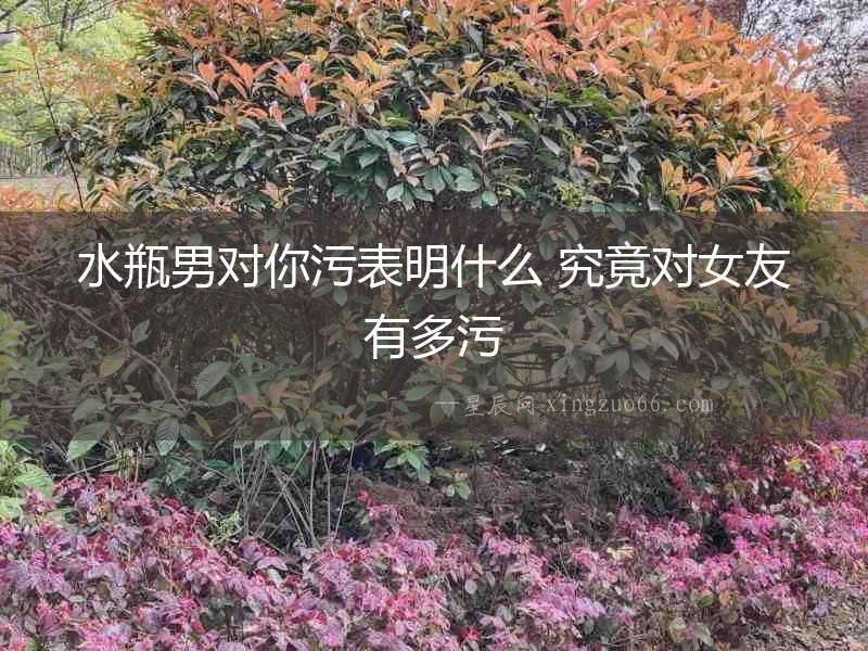 水瓶男對你污表明什么 究竟對女友有多污