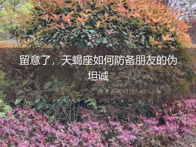 留意了，天蝎座如何防備朋友的偽坦誠(chéng)