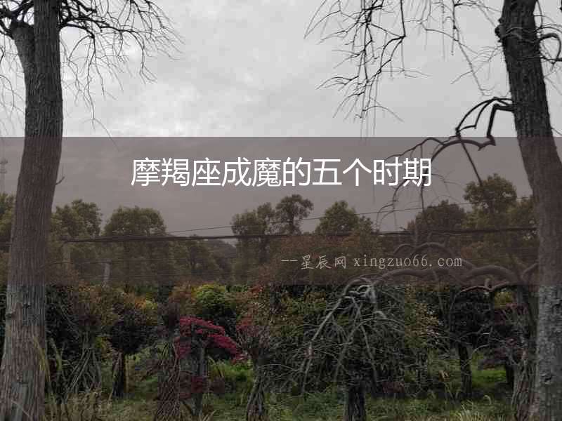 摩羯座成魔的五個時期