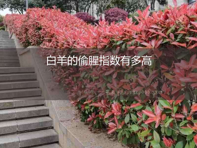 白羊的偷腥指數有多高