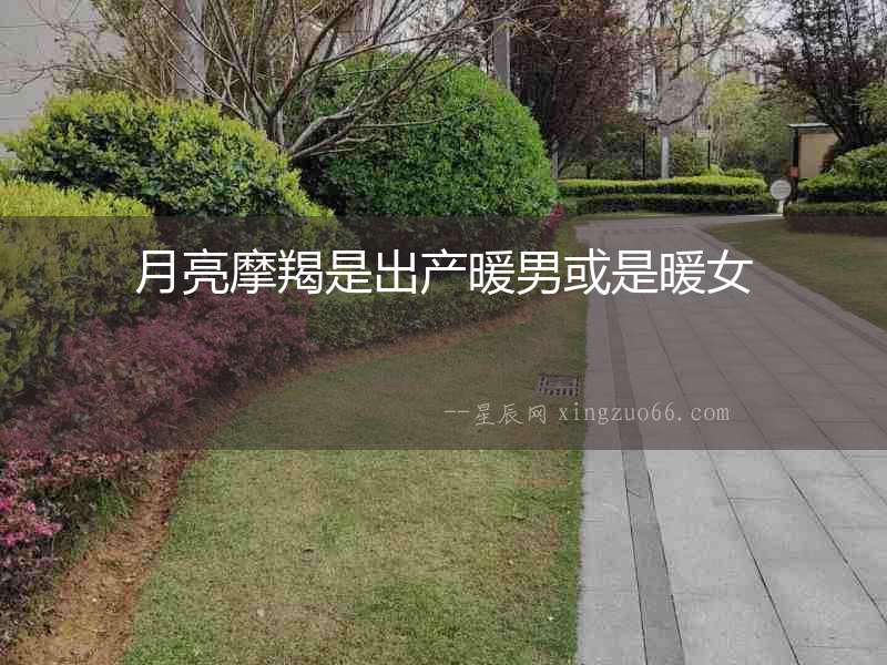 月亮摩羯是出產(chǎn)暖男或是暖女