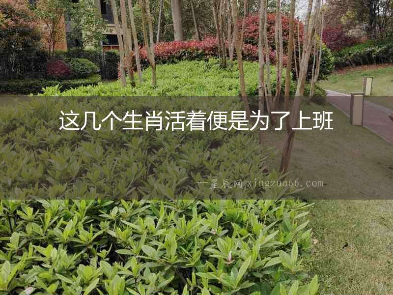 這幾個生肖活著便是為了上班
