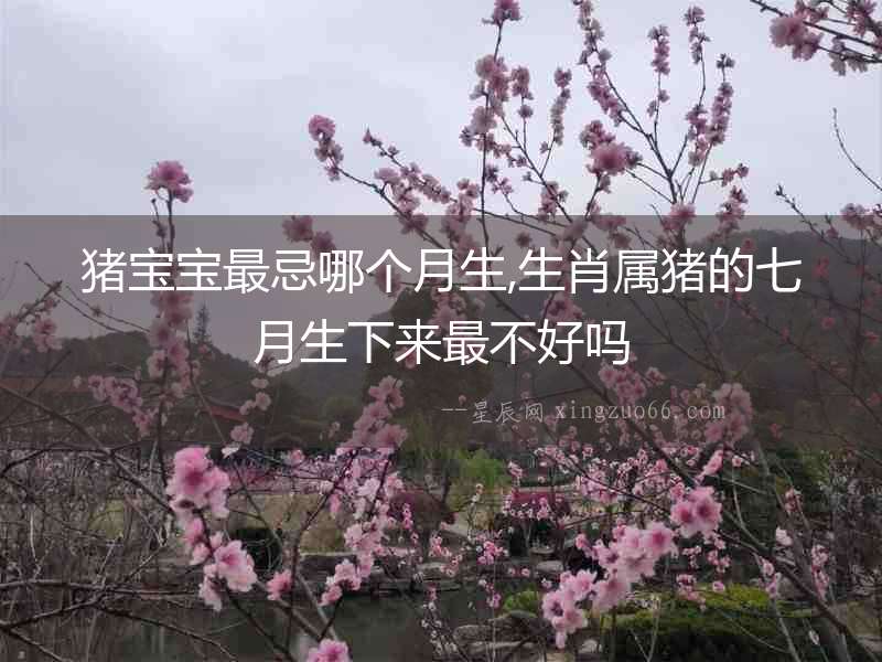 豬寶寶最忌哪個月生,生肖屬豬的七月生下來最不好嗎