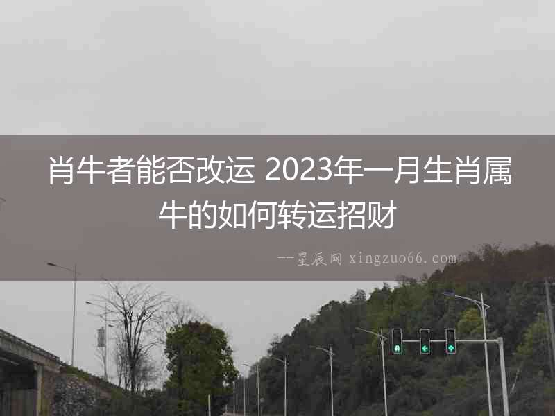 肖牛者能否改運 2023年一月生肖屬牛的如何轉運招財