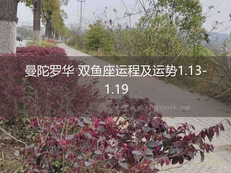 曼陀羅華 雙魚座運程及運勢1.13-1.19