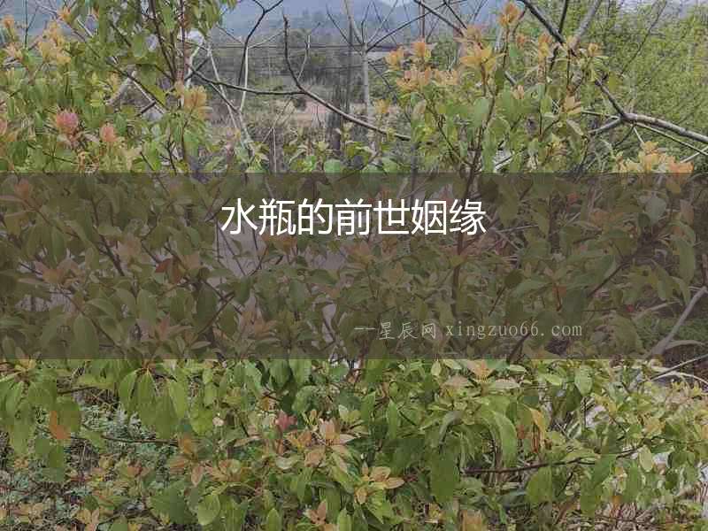 水瓶的前世姻緣