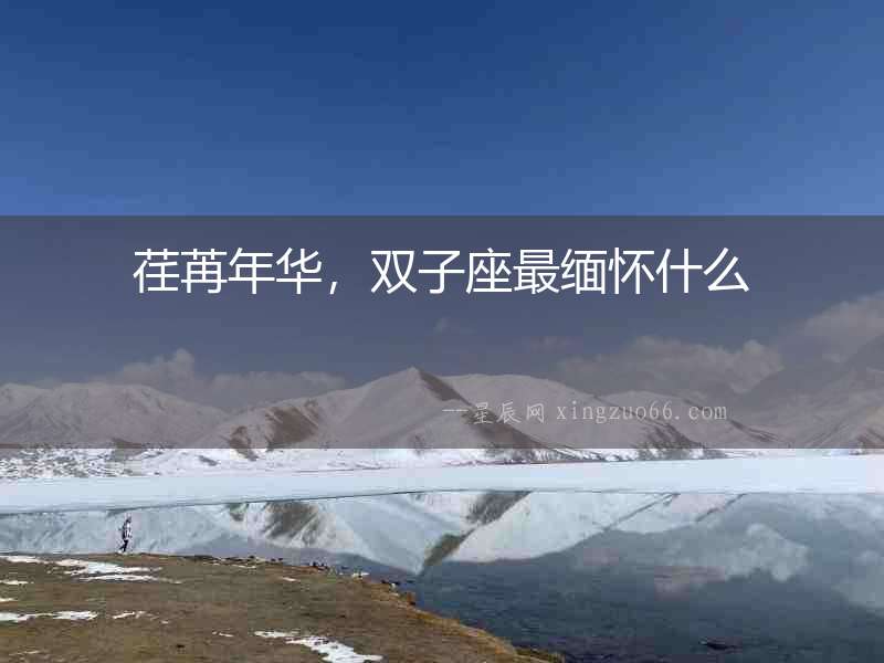 荏苒年華，雙子座最緬懷什么