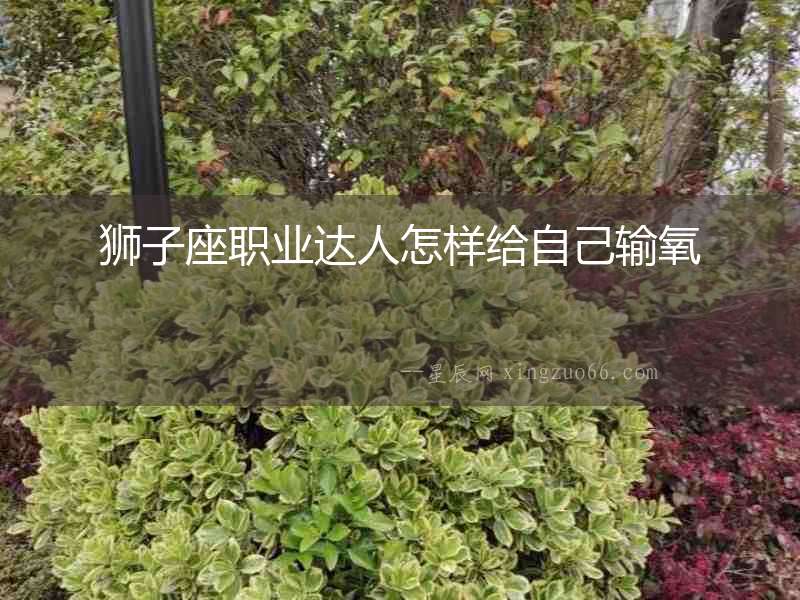 獅子座職業(yè)達人怎樣給自己輸氧