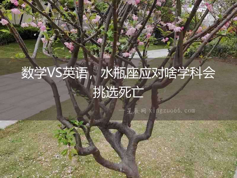 數學VS英語，水瓶座應對啥學科會挑選死亡