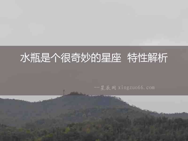 水瓶是個很奇妙的星座  特性解析