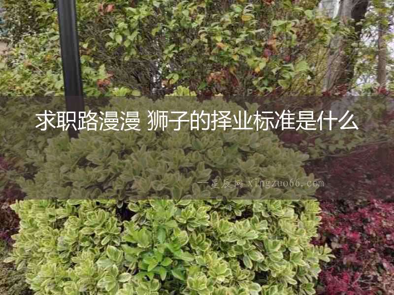 求職路漫漫 獅子的擇業(yè)標(biāo)準(zhǔn)是什么