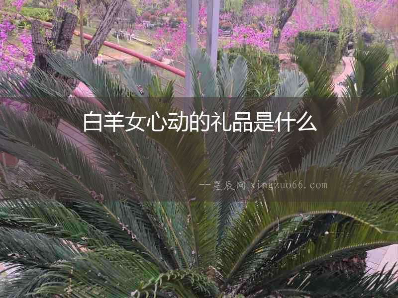 白羊女心動(dòng)的禮品是什么