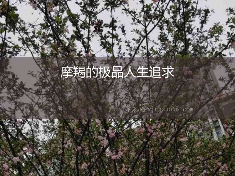 摩羯的極品人生追求