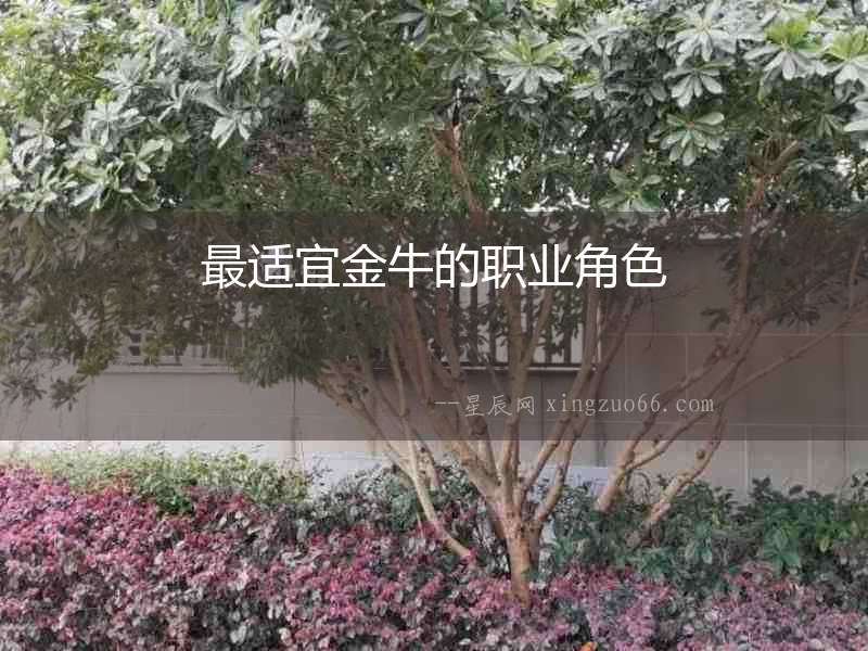 最適宜金牛的職業(yè)角色