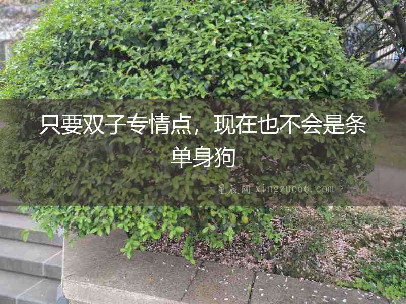 只要雙子專情點，現在也不會是條單身狗