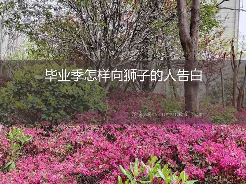 畢業(yè)季怎樣向獅子的人告白