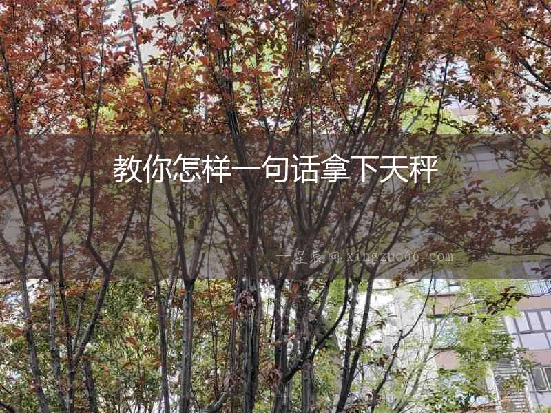 教你怎樣一句話拿下天秤