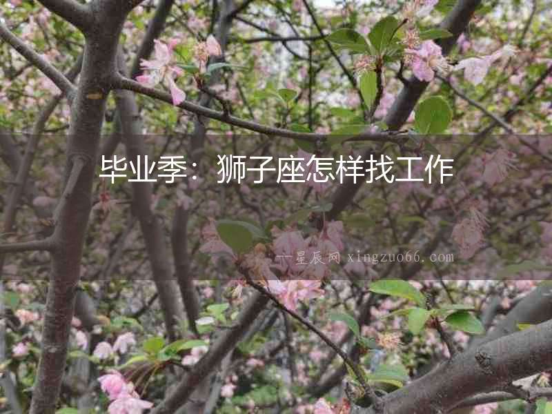 畢業(yè)季：獅子座怎樣找工作
