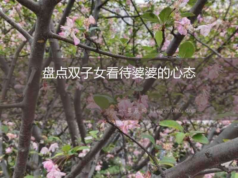 盤點雙子女看待婆婆的心態(tài)