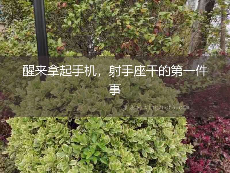 醒來拿起手機，射手座干的第一件事