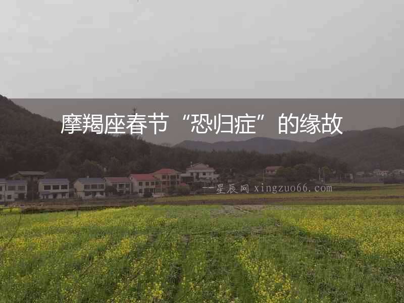 摩羯座春節(jié)“恐歸癥”的緣故