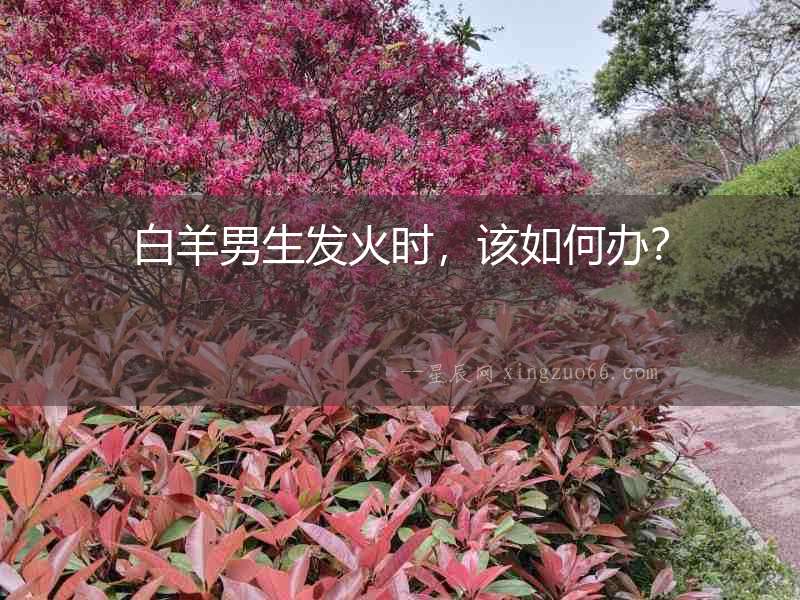 白羊男生發(fā)火時(shí)，該如何辦？