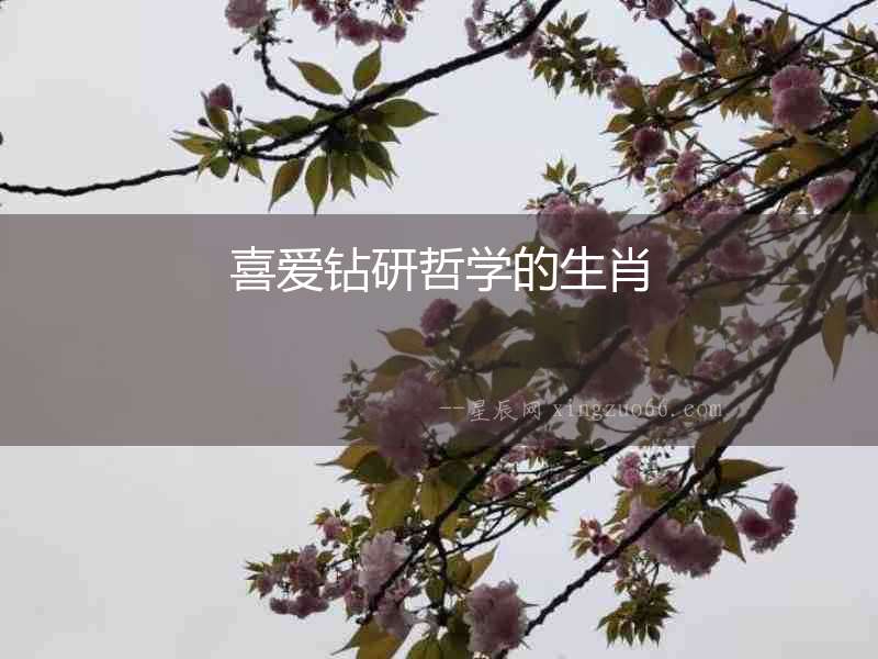 喜愛鉆研哲學(xué)的生肖