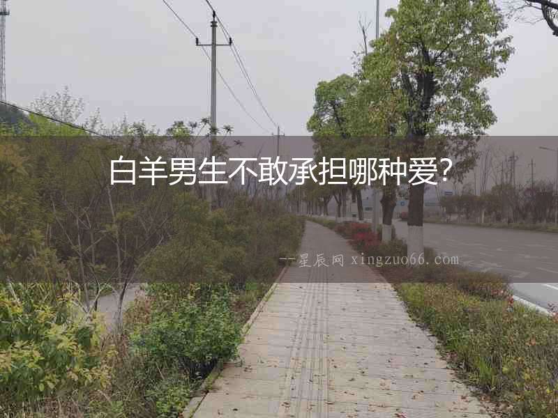 白羊男生不敢承擔哪種愛？