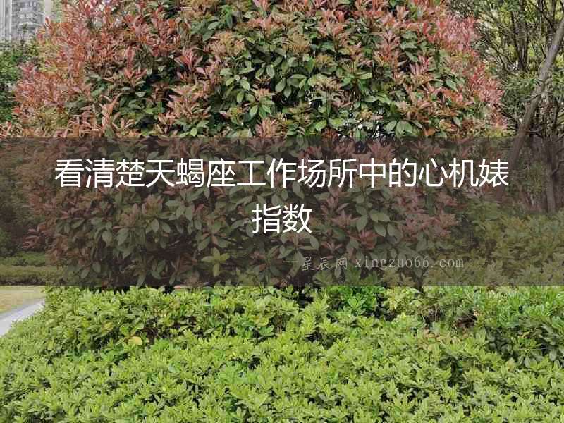 看清楚天蝎座工作場(chǎng)所中的心機(jī)婊指數(shù)