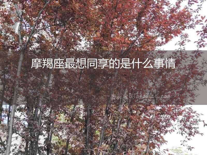 摩羯座最想同享的是什么事情