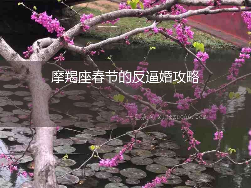 摩羯座春節(jié)的反逼婚攻略