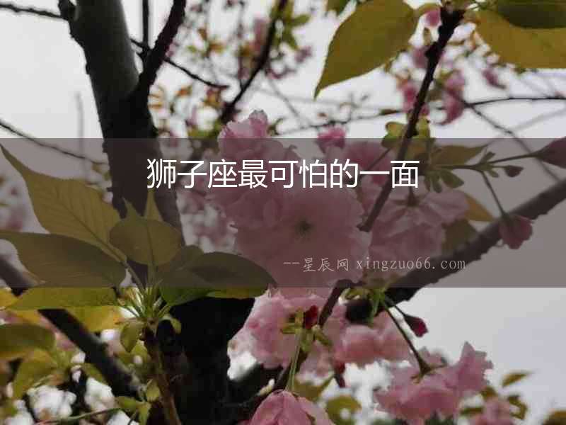 獅子座最可怕的一面