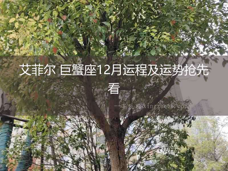 艾菲爾 巨蟹座12月運(yùn)程及運(yùn)勢(shì)搶先看